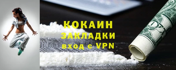 прущие грибы Армянск