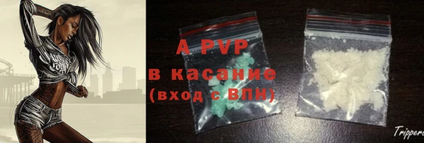 гашик Арсеньев