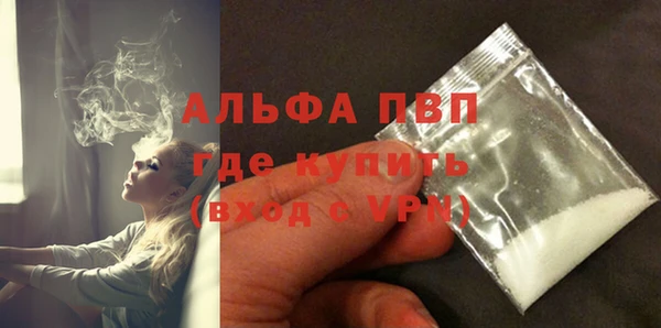 прущие грибы Армянск