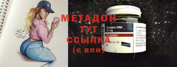 прущие грибы Армянск