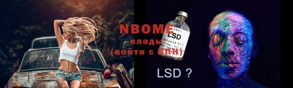 прущие грибы Армянск