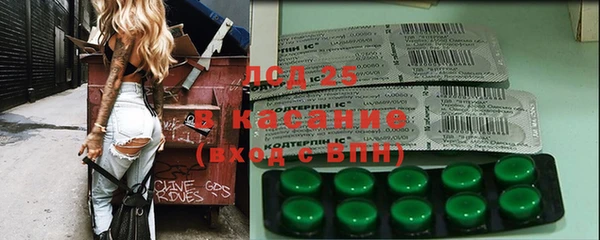 прущие грибы Армянск
