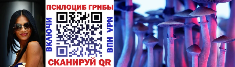 Псилоцибиновые грибы Cubensis Рузаевка